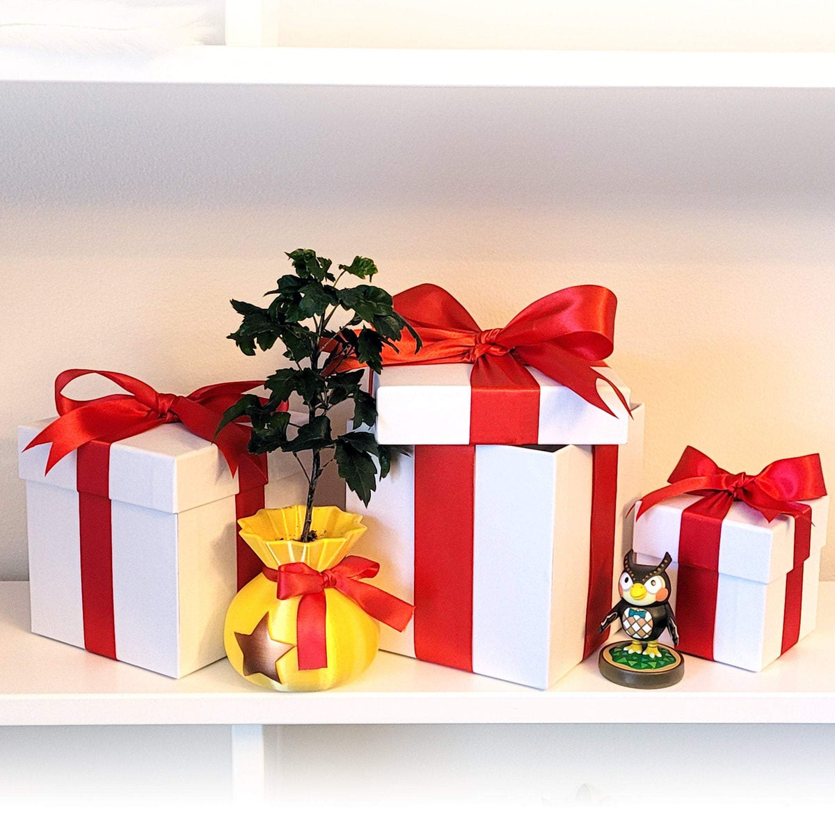 Red and white Gift box DIY KIT Includes: box, rope, Tissue paper, Gift tag.