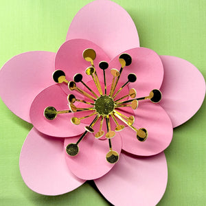 Ume Plum Blossoms DIY Kit